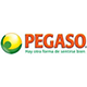 Pegaso